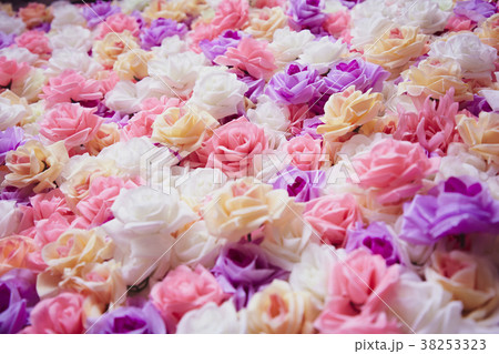 Roses wall background 38253323