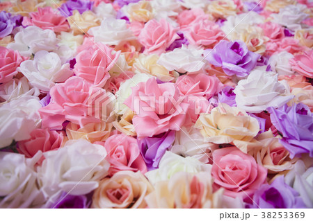 Roses wall background 38253369