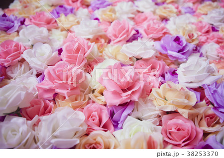 Roses wall background 38253370