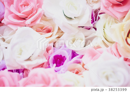 Roses wall background Roses wall background 38253399