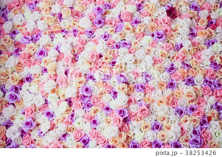Roses wall background 38253426