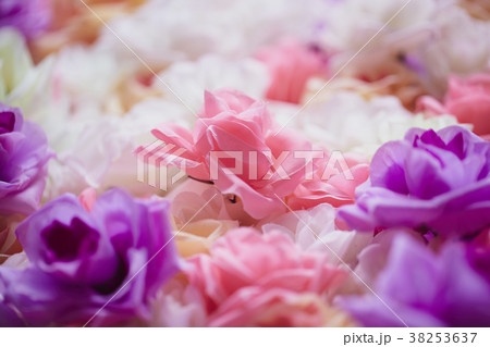 Roses wall background Roses wall background 38253637