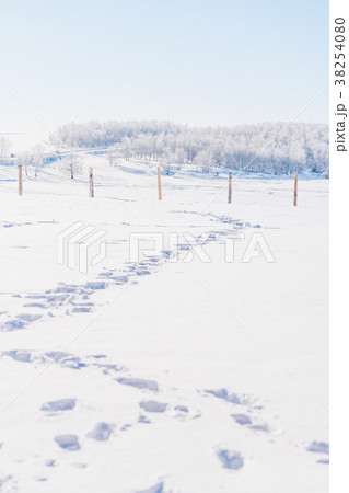Winter landscape, white snow field with footprint 38254080
