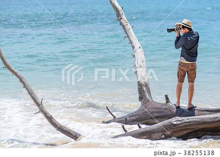 Young Asian man taking photo on dead tree Young Asian man taking photo on dead tree 38255138