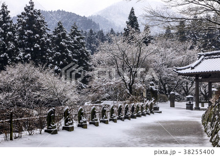 雪の雷山千如寺大悲王院 雪の雷山千如寺大悲王院 38255400