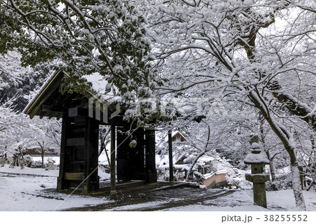 雪の秋月城址 38255552