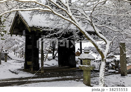 雪の秋月城址 38255553