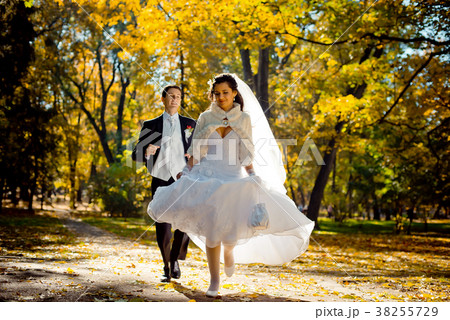 Emotional wedding portrait of the handsome groom Emotional wedding portrait of the handsome groom 38255729