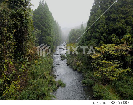 秋の八勢川　（熊本県上益城郡　八勢橋からの眺め） 38255808