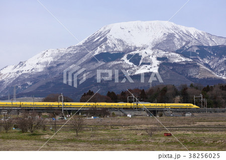 イエローと伊吹山 38256025