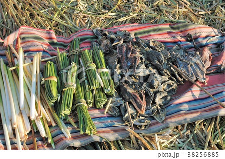 チチカカ湖、ウロス島のウル族の食材 38256885