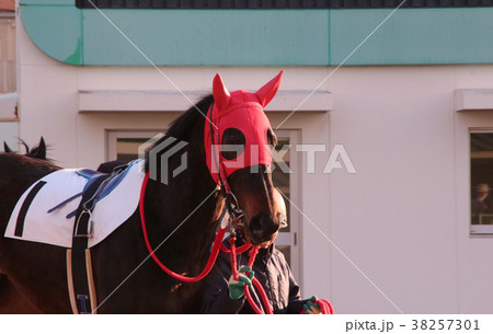 園田競馬場 38257301