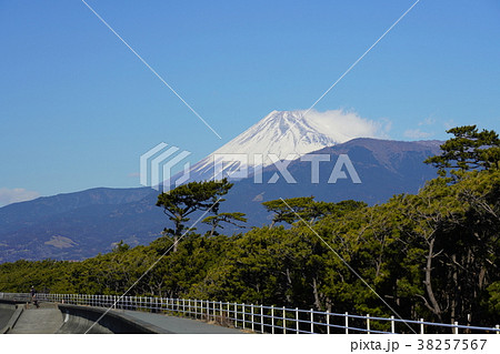 （静岡県東部）千本松原と富士山 38257567