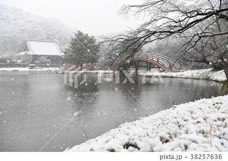 降雪の称名寺反り橋 降雪の称名寺反り橋 38257636