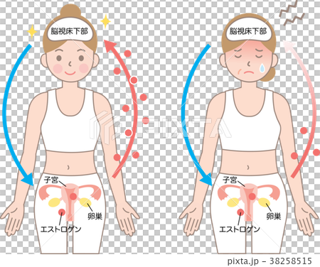 Menopause estrogen 38258515