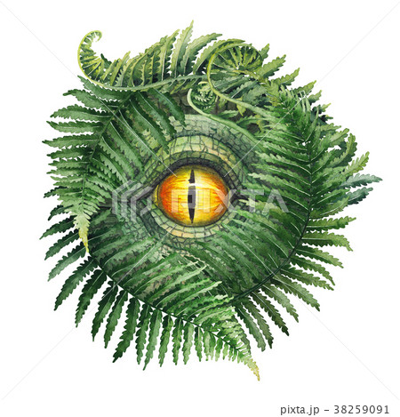 Watercolor dinosaur eye and ferns Watercolor dinosaur eye and ferns 38259091
