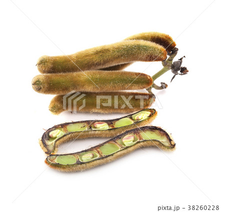 nettles brown pods with on white background 38260228