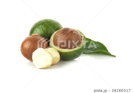 Macadamia nut on white background Macadamia nut on white background 38260317