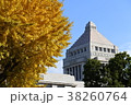 神宮外苑/国会議事堂-銀杏-紅葉８ 38260764