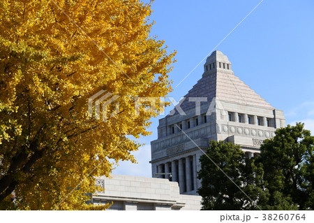 神宮外苑/国会議事堂-銀杏-紅葉8 神宮外苑/国会議事堂-銀杏-紅葉8 38260764