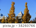 神宮外苑/国会議事堂-銀杏-紅葉１０ 38260766