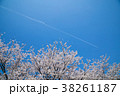 桜並木と飛行機雲 38261187