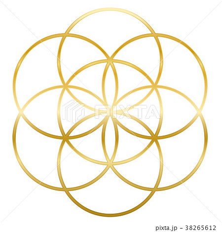 Golden Seed Of Life Flower Of Life 38265612