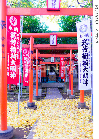 鬼子母神の鳥居 鬼子母神の鳥居 38265714