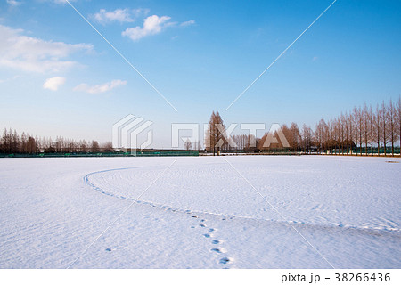 関東地方の大雪 大宮健保グラウンドより大宮方面 雪景色 の写真素材 関東地方の大雪 大宮健保グラウンドより大宮方面 雪景色 の写真素材