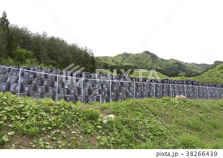 除染作業 除染作業 38266439