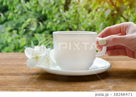 Female hand with white mug of tea and jasmine Female hand with white mug of tea and jasmine 38266471