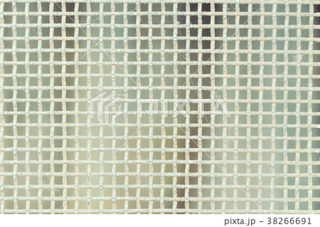White grid with spider web closeup 38266691