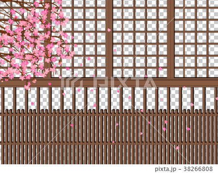 京町家の格子　桜の木 38266808
