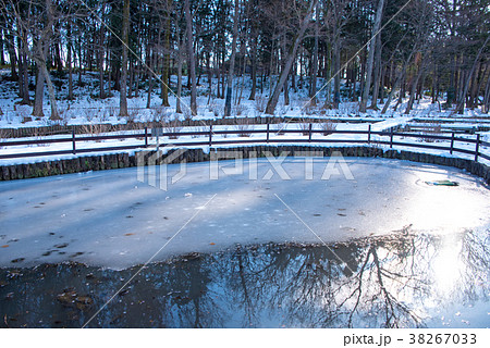 上尾丸山公園 雪景色 関東地方の大雪 上尾丸山公園 雪景色 関東地方の大雪 38267033