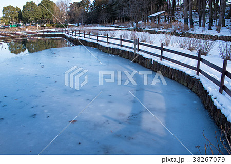 上尾丸山公園　雪景色　池　関東地方の大雪 38267079
