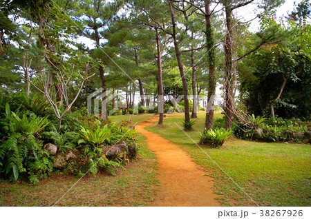 ビオスの丘 38267926