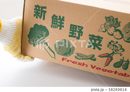 出荷 38269818