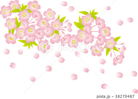 桜 背景 ピンク 葉っぱ 透かしのイラスト素材