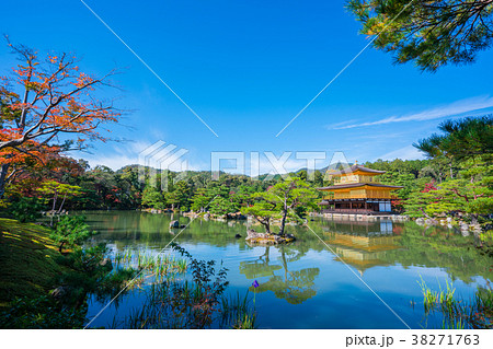 京都　秋の金閣寺 38271763