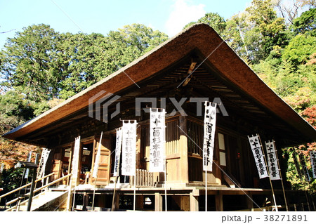 杉本寺、鎌倉最古の寺、観音堂、 38271891