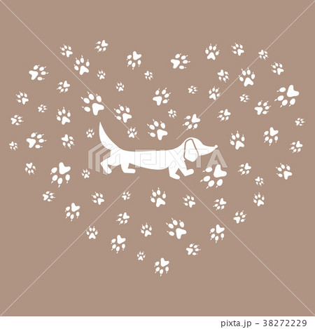 dachshund silhouette on a background of dog tracks 38272229