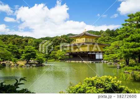 金閣寺の新緑 38272600