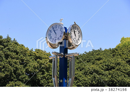 公園の時計の写真素材