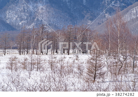 冬の奥日光 戦場ヶ原 雪の平原に立つ木々 戦場ヶ原展望所より望遠 A 2 明るいトーンの写真素材 38274282 Pixta