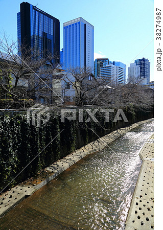 冬の神田川と高層ビル群 冬の神田川と高層ビル群 38274987