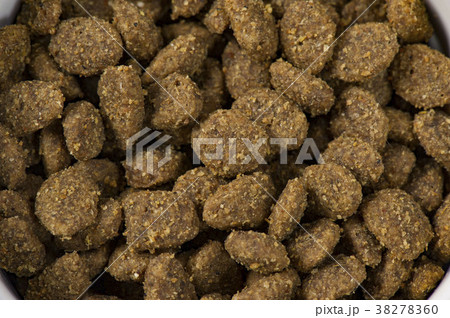 栄養管理食品ペットフード 38278360