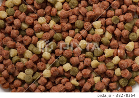 栄養管理食品ペットフード 栄養管理食品ペットフード 38278364