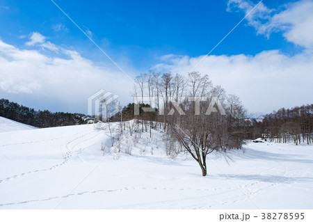 雪原 38278595