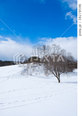 雪原 38278596