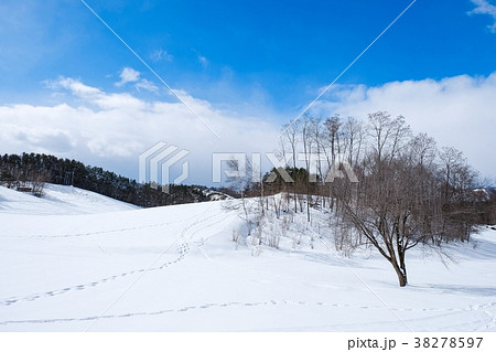 雪原 38278597
